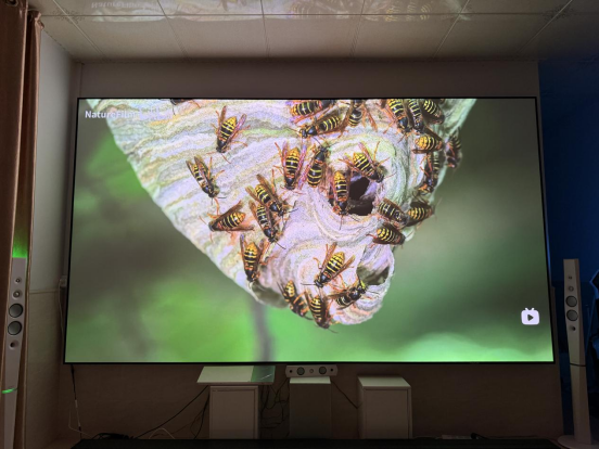 ：千元档到万元档这四款闭眼入不踩坑J9国际网站双十二投影仪选购攻略(图1)